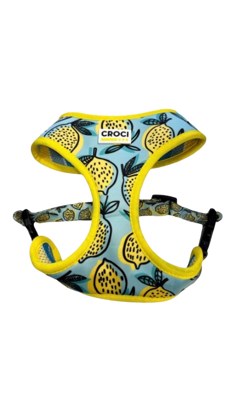 Lemons Harness Small Διπλής Όψης 35/45cm